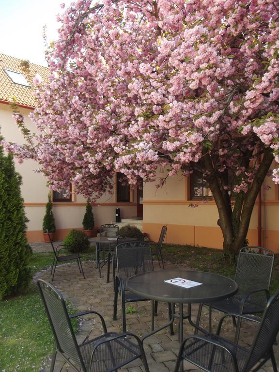 Pannon Hotel Bejelentkezes 20 Oraig, Check-In Until 20 O'Clock, Einchecken Bis 20 Uhr Mohács Buitenkant foto